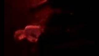 Mastodon - This Mortal Soil