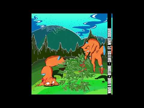 Wake&Bake + Bitsune - Can u See (feat White Sugar)