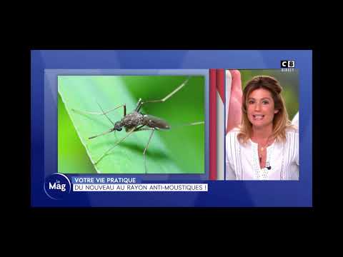 Tout savoir sur les appareils anti-moustiques