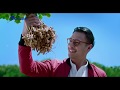 GARUDA BIGA Garuda Biji Tiga Premium 45 Ind
