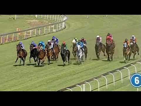 SINGFORAFA - Gardenia Stakes