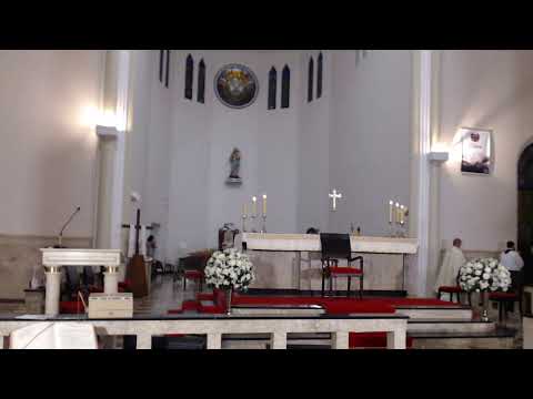 Santa Missa - Domingo da Ascenção do Senhor