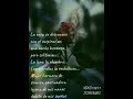 Juan Gabriel ( llegue y me voy )🌹🌹🌹🌹