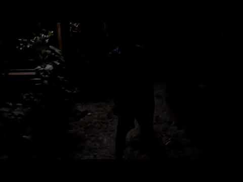 (INVISIBLE ABAT 2 KABUUK MONGGOL) OPAW NABUANG SA ROS