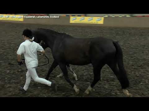 22  Sannabays Nerina