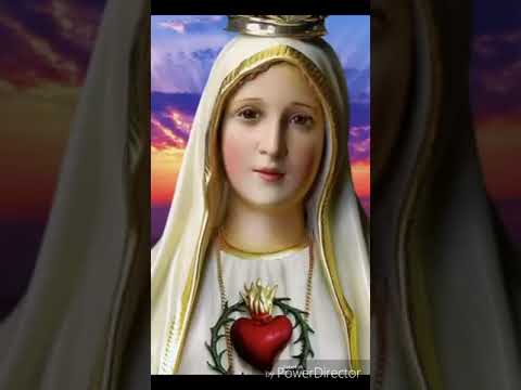 EVO NAS PRED TOBOM, MARIJO