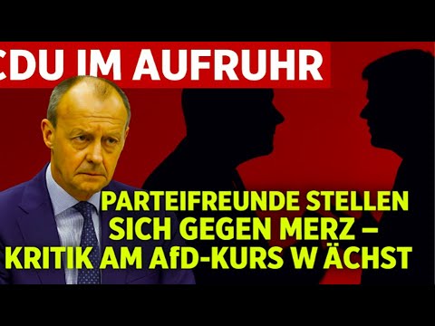 CDU im Aufruhr: Parteifreunde stellen sich gegen Merz – Kritik am AfD-Kurs wächst