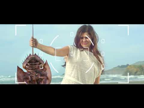 「キラーカブトガニ」予告編