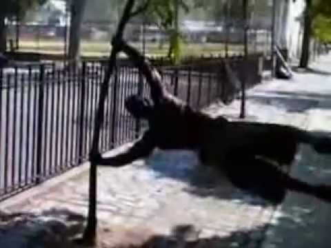 Hannibal for king !HARD WORKOUT! Motivation for training