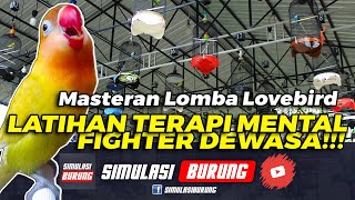 Download lagu HANYA 10 DETIK LB LANGSUNG IKUTAN GACOR | Simulasi Lomba Lovebird Betina FIGHTER 2022 mp3 Download lagu HANYA 10 DETIK LB LANGSUNG IKUTAN GACOR | Simulasi Lomba Lovebird Betina FIGHTER 2022 mp3