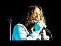 Temple Of The Dog - Reach Down [Live At Alpine Valley]