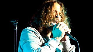 Temple Of The Dog - Reach Down [Live At Alpine Valley]