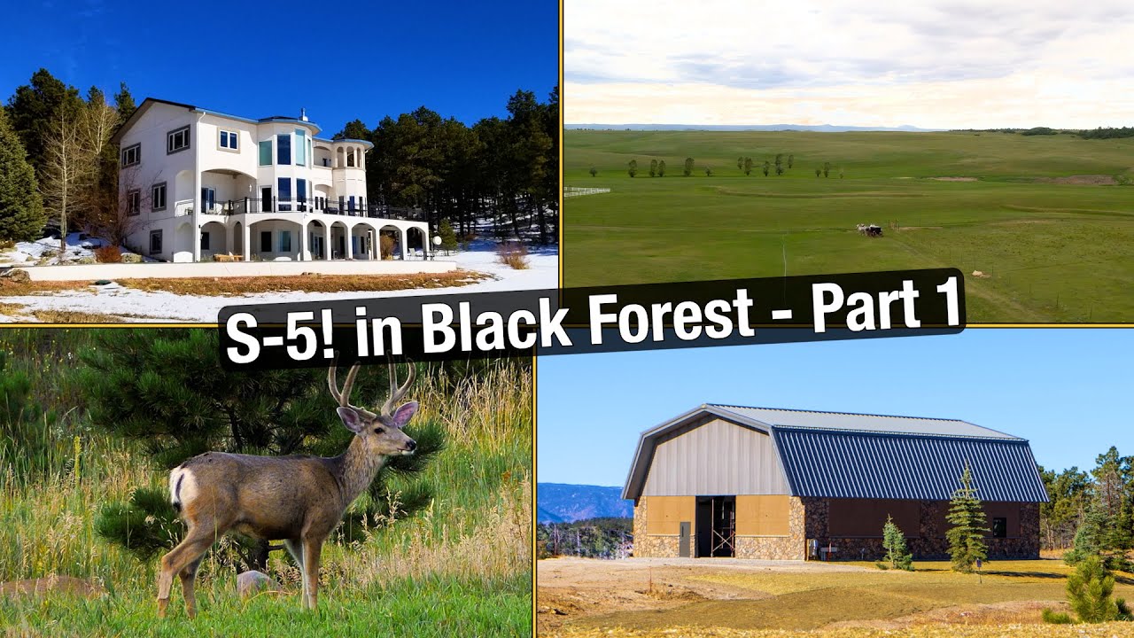 The S-5! Office - Home is Where the Heart Is