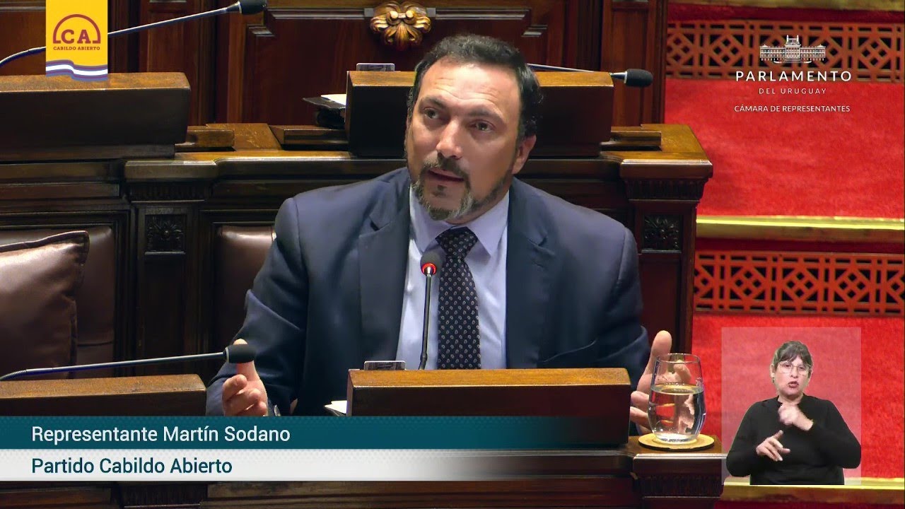 Diputado Martín Sodano | Medidas alternativas para infractores primarios adictos