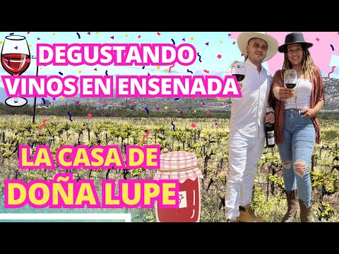 🍷 Descubre los Sabores Únicos del Viñedo Doña Lupe en Valle de Guadalupe 🍇 Ensenada Baja California