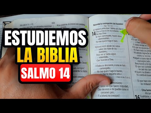 Cómo ESTUDIAR la BIBLIA correctamente Salmo 14