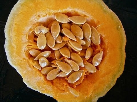 Kaufen monastirsky Tee od Prostatitis Welche Pillen behandeln chronische Prostatitis
