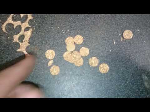 Пыжерез#Зингер# режет пыжи со скоростью швейной машинки картон линолиум без шума ипыли