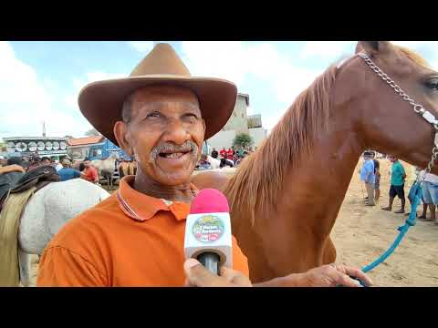 PRIMEIRA FEIRA DE ANIMAIS DE BUENOS AIRES-PE PARTE 1 DOMINGO: 30/11/25 #omelhordonordeste #animais