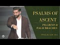 Psalms of Ascent: Pilgrims & Palm Branches (Psalm 120-134)
