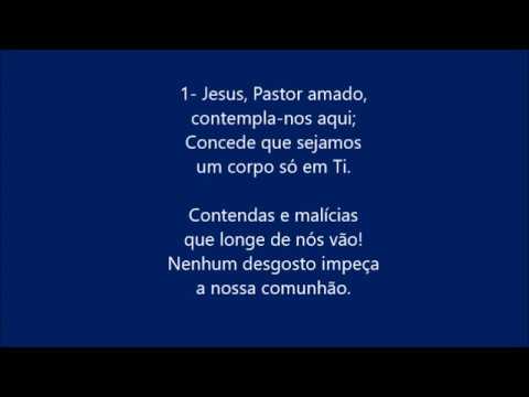 Amor Fraternal video