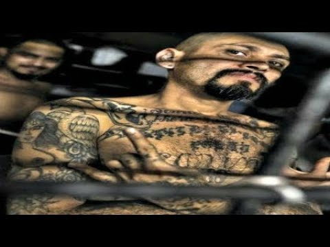 MS13 gang member detained at border with fake family texts MS13 to do same Breaking News April 2019 Video