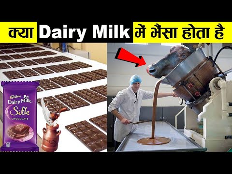 This is how dairy milk is made openly? how dairy milk produce in factory ! secrets of dairy milk!