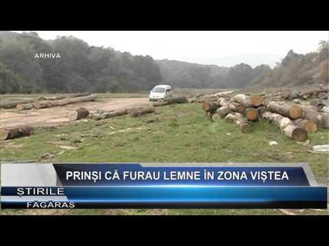 Prinsi ca furau lemne in zona Vistea