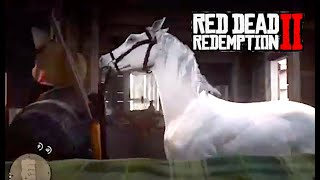 RDR2 １３日目