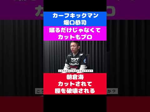 堀口恭司　カーフキックのカットで朝倉海の脛を破壊する　#shorts #切り抜き #rizin #堀口恭司 #朝倉海 #bellator