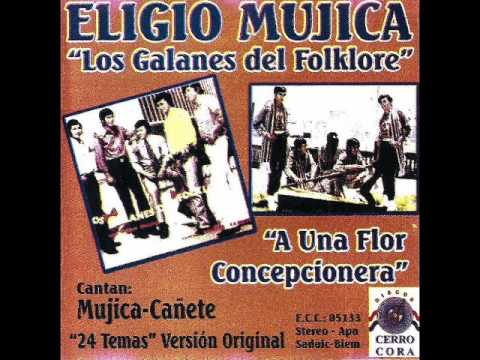 ELIGIO MUJICA Y LOS GALANES DEL FOLKLORE - 24 TEMAS - VERSION ORIGINAL - Discos Cerro Cora