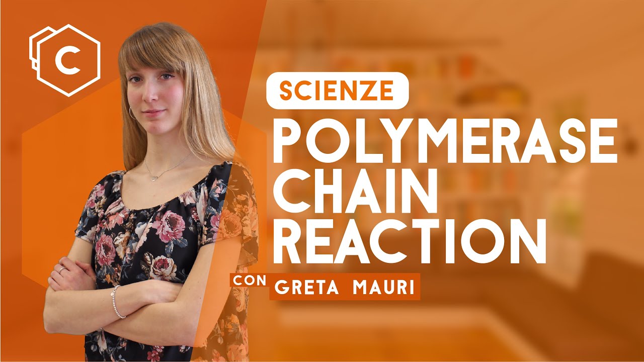 PCR: Reazione a catena della polimerasi | Scienze