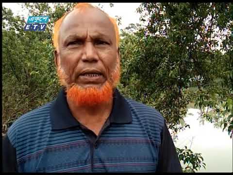 কীটনাশক দিয়ে মাছ ধরার কারণে কমে যাচ্ছে সুন্দরবনের নদ-নদীতে মাছের উপস্থিতি