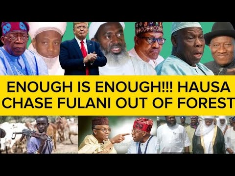 HAUSA V FULANI; REVOLUTION BEGINS IN THE NORTH AS GUNM£N SH0T 5 FULANI IN PLATEAU, MACBAN SAYS.