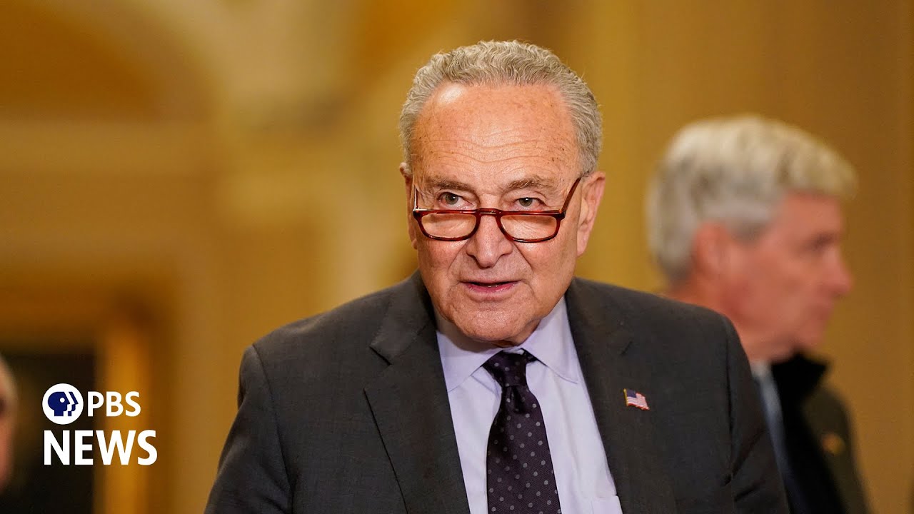 WATCH: Trump 'plunged nation into chaos,' Schumer says as Democrats hold briefing on federal grants