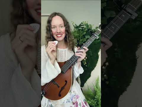 Answering your questions about octave mandolin!