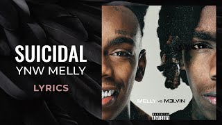 Download lagu YNW Melly Suicidal I said I loved you and I wish I... mp3