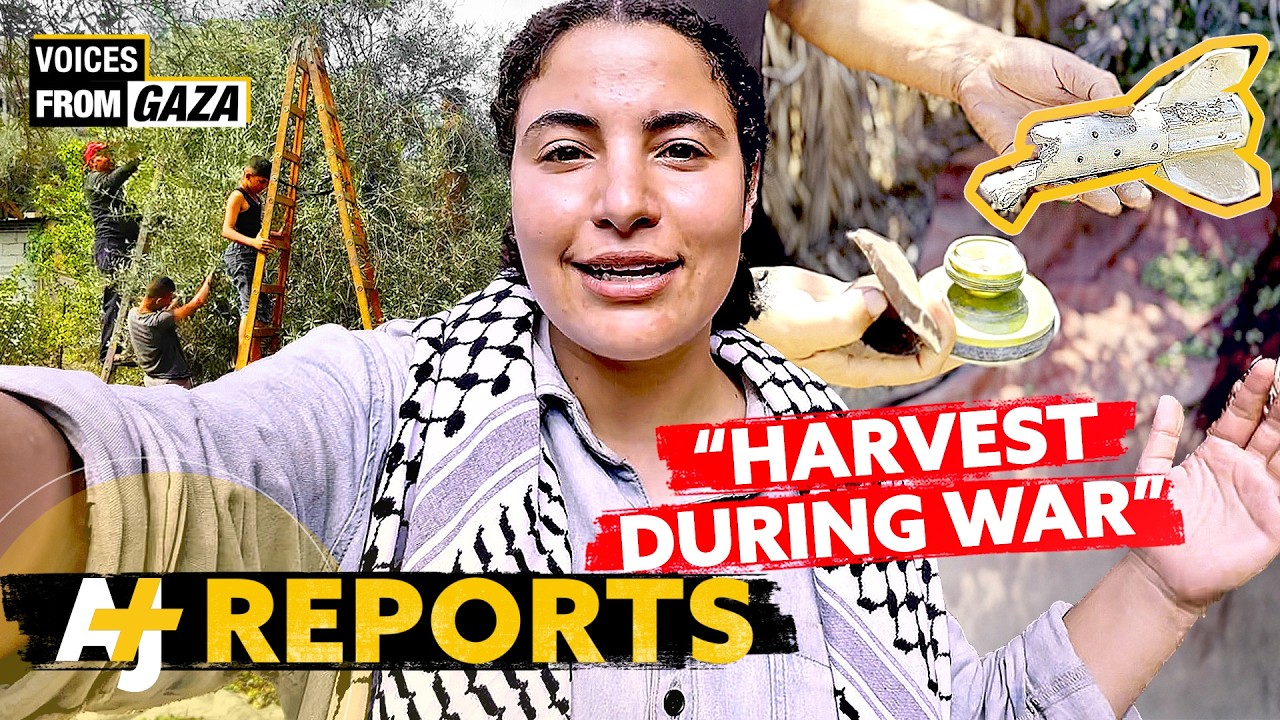It's Bisan From Gaza, And We're Picking Olives In A Genocide