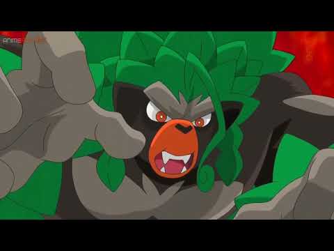 RILLABOOM MEJORES MOMENTOS EN POKEMON VIAJES CAP 131 #rillaboom #ashketchum #pokemonviajes