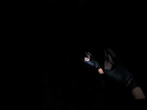 Great fruit-eating bat (Artibeus lituratus) taking off in slow motion