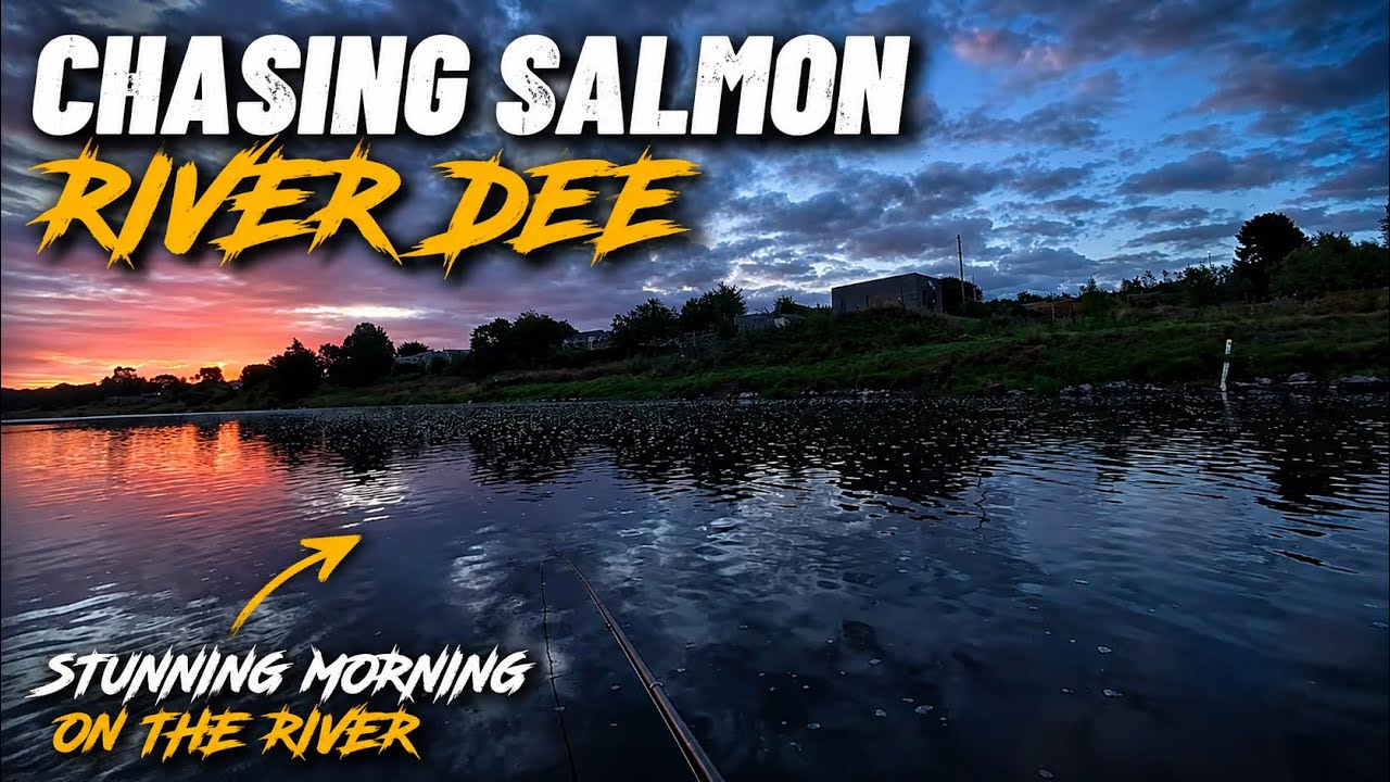 Chasing silver, salmon fishing river Dee Pumphouse Pool