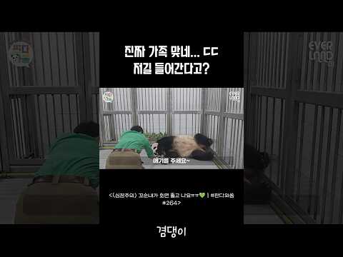 진짜 대단하다는 말밖엔 👍 #shorts