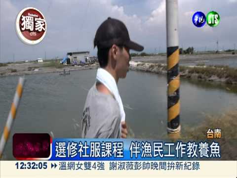 漁塭過暑假! 2男大生教漁民養殖