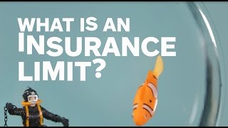 What Is an Insurance Limit?