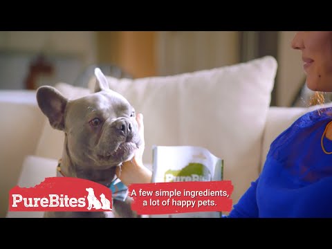 PureBites Mini Trainers Freeze-Dried Chicken Breast Dog Treats, 2.1-oz bag Video