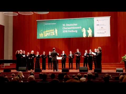 10. DCW-Eröffnungskonzert I: Claritas Vocalis (Mai 2018)