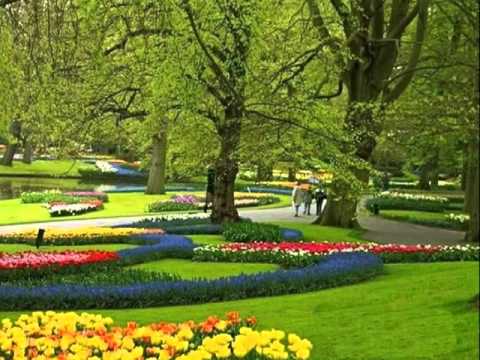 My Choice - La Paloma (Instrumental) - Keukenhof Gardens Amsterdam