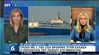 Η ΥφΑΑΤ, Φωτεινή Αραμπατζή στο Δελτίο Ειδήσεων της ΕΡΤ1 για το πλοίο Elbeik (9/3/2021)