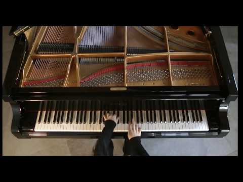 VACATELLO plays BACH  |  Passacaglia in C Minor BWV582