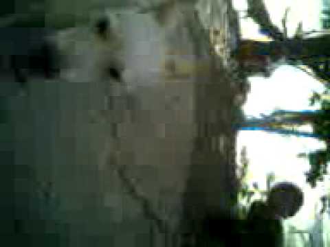 download lagu mp3 mp4 Ungu Beware, download lagu Ungu Beware gratis, unduh video klip Ungu Beware